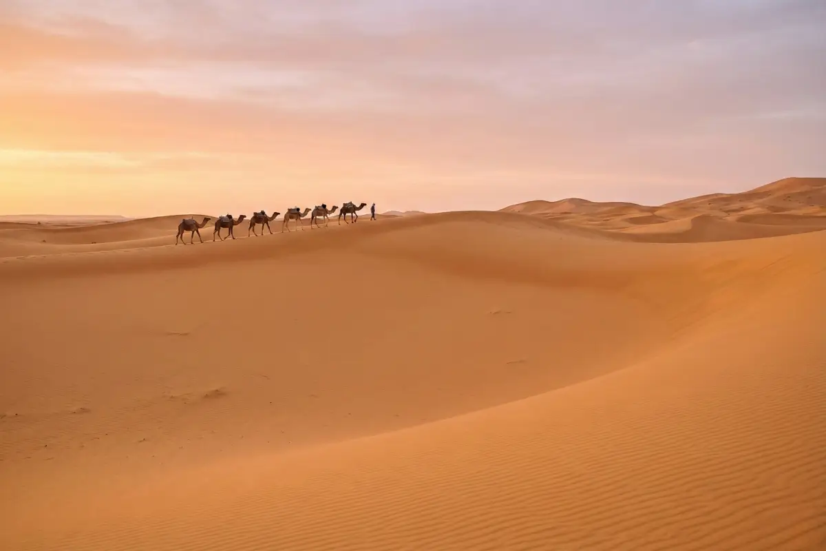 Travelling Through Morocco